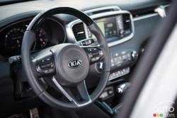 2016 Kia Sorento steering wheel
