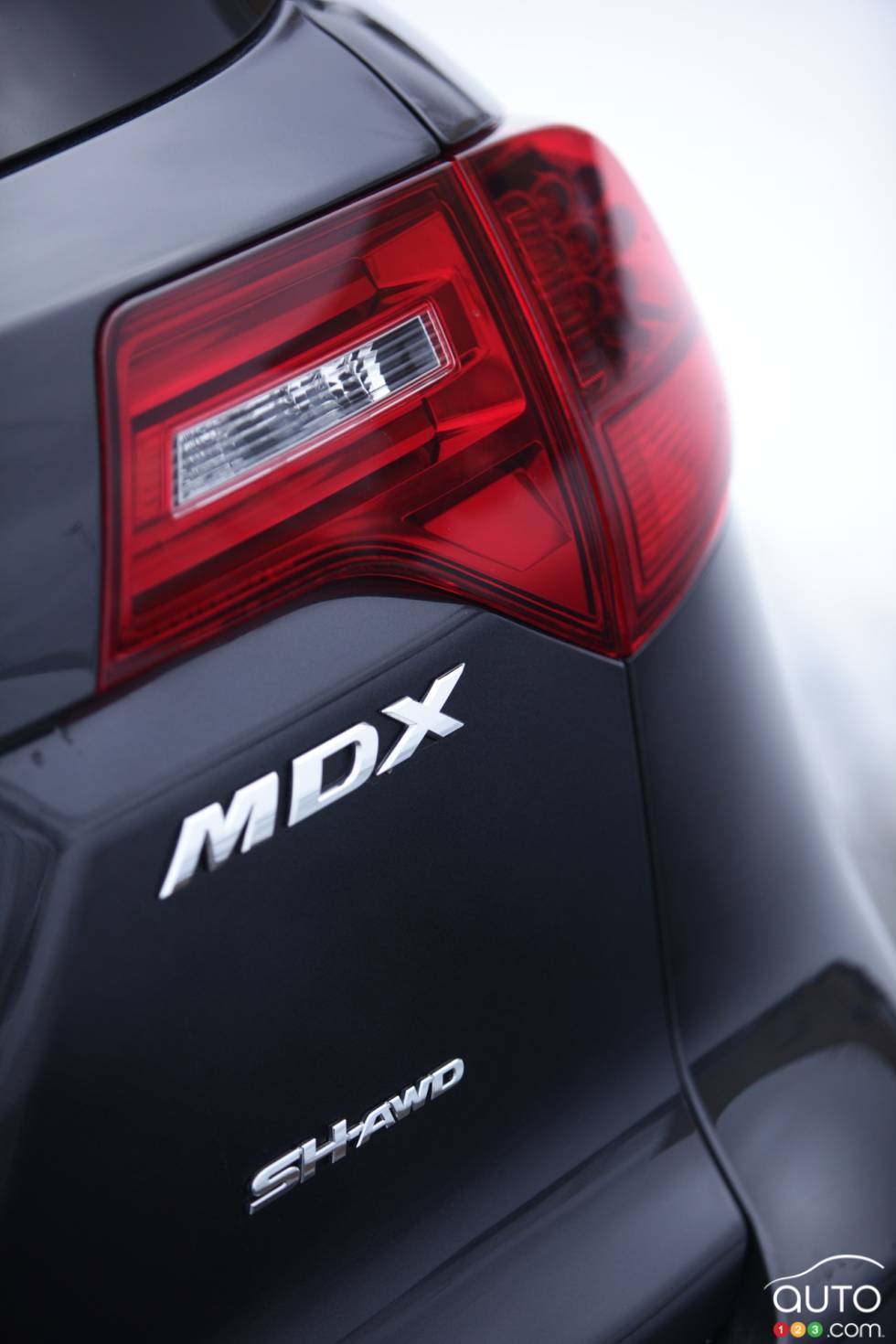Logo details
