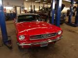 MAY 2010 FORD MUSTANG SHOW