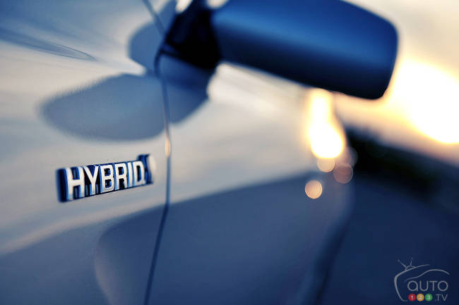 Hybrid Sticker Hybrid Sticker