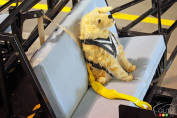 Subaru testing pet harness effectiveness