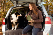 Top 10 safest vehicles for pets according to Edmunds.com