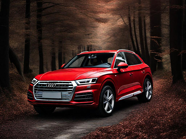 https://picolio.auto123.com/18photo/audi/2018-audi-q5-20-tfsi-quattro-technik.png