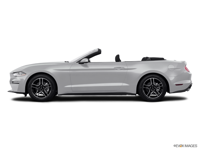 ford mustang GT Premium