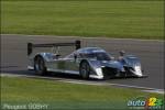 L'hybride s'attaque au sport automobile