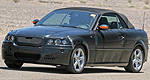 BMW's 1-Series Cabrio Spied!