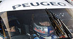 F1: French carmaker NOT interested in buying the Honda team