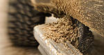 Preparation and maintenance can reduce winter's toll on your vehicle's interior
