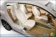 Johnson Controls pr�sente un prototype durable unique � Detroit