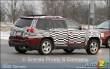 Spotted : camo-free 2010 GMC Terrain! Spotted : camo-free 2010 GMC Terrain!