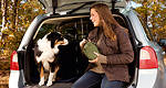 Take your dog on your motoring holiday