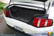 2010 Ford Mustang Convertible GT