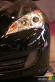 SEMA 2009: Hennessey Hyundai Genesis Carbon Coupe (photos)