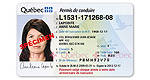 New payment methods for driver's licenses and registrations in Quebec