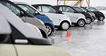 The smart loves winter!