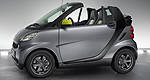 smart fortwo édition greystyle 2010