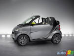 smart fortwo �dition greystyle 2010