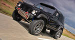 Wildcat 300STR, the meanest road legal off-road vehicle?