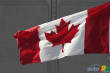 Indy Toronto: P�le position pour Justin Wilson � Toronto