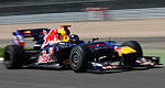 F1: Photos du fameux aileron avant des Red Bull RB6