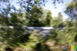 NASCAR Montr�al: Boris Said gagne devant Papis et Villeneuve