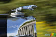 Jaguar's 75th anniversary celebrated with a Rallye of Iconic Cars!