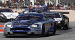 GT1 World: Videos of the final race in Argentina