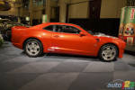 Toronto 2011: For F-Body fans