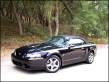 2003 Ford mustang