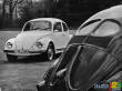 L'histoire de la Volkswagen Beetle