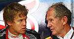 F1: Helmut Marko voudrait garder Vettel jusqu'en 2016