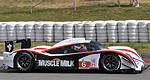 ALMS: Muscle Milk Pickett Racing trio announced