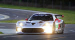 ALMS: Dodge returns to the GT class with Viper and Kuno Wittmer (+photos, video)