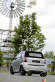 Smart Fortwo Coupe