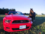 Ford Mustang GT cabriolet 2013�: essai routier