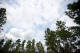 Bridgestone: Off-Road tires and the Environment