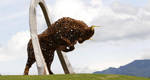 F1: Red Bull Ring presents alternative venue to Turkish or French GP