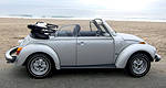 Serendipity, Beetle style