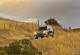 New 2014 Subaru Forester arrives at Canadian dealerships