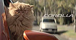 Cats and the auto industry