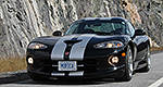 Living with the Viper