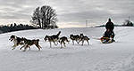It happened on December 20th: First international dog sled mail delivery