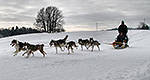 On livre le courrier en traîneau à chiens un 20 décembre