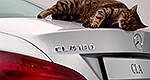 Mercedes-Benz Classe A: l'aérodynamisme testé par des chats (vidéo)