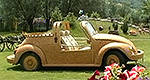 A Beetle for wood lovers
