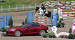 Land Rover et les chevaux