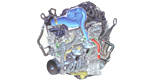 Nouvelles cavaleries pour la Mustang