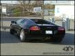 2005 T-Rex on the track (video) 2005 T-Rex on the track (video)
