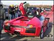 2005 T-Rex on the track (video) 2005 T-Rex on the track (video)