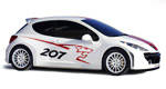 Peugeot vise le Championnat du monde de rallye avec son prototype 207 RCup